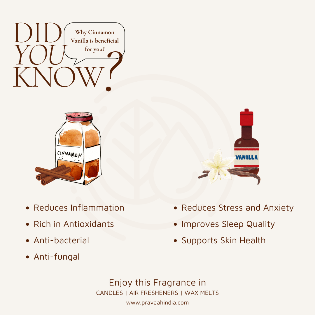 Bayaar XL | 100% Soy Wax Candle | 5 And 7 Wick | Cinnamon Vanilla | Verified Sustainable by Brown Living™
