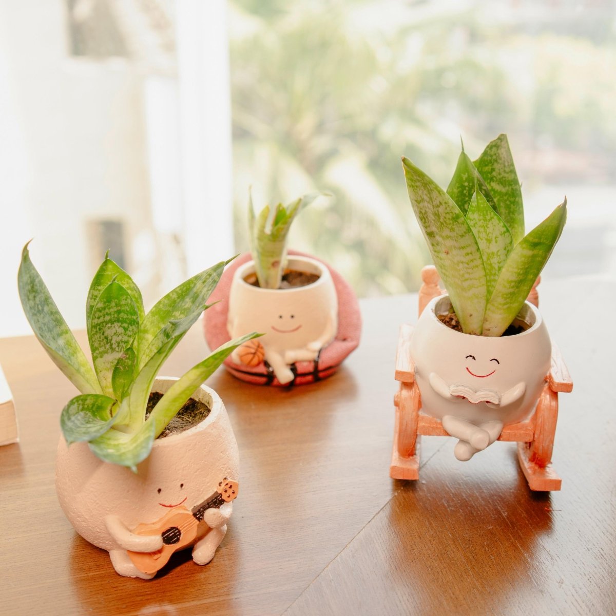 Bouncy Bloom - Handwoven Basket Planter for Indoors ā Ceramic Planter on Brown Livingā¢. SKU: v - 333. Img 3.