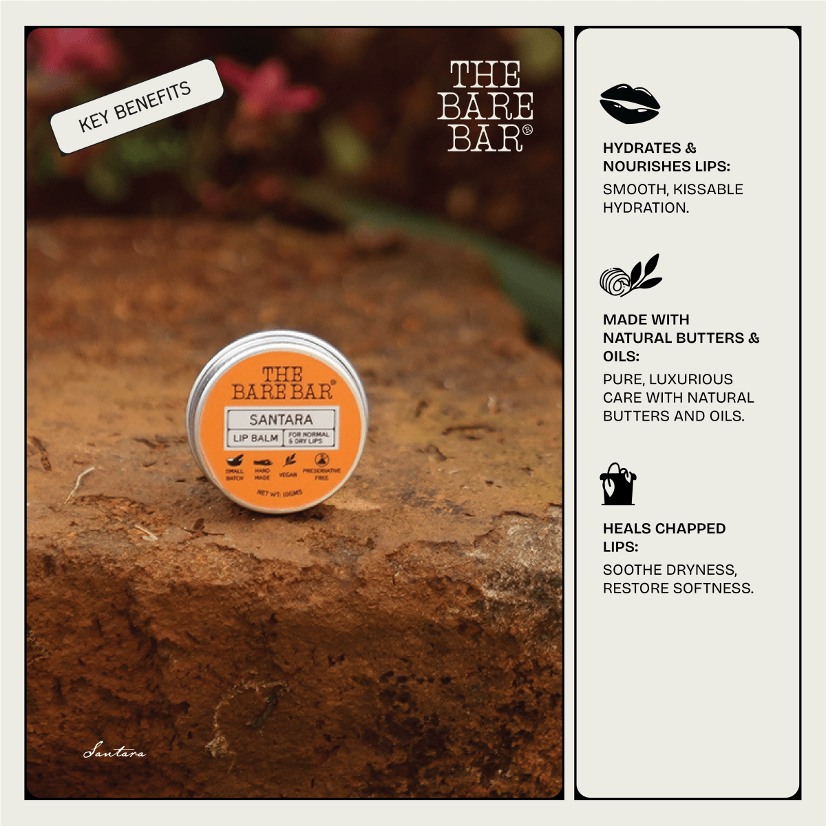 Citrus Santara Lip Balm for Nourished Lips | Verified Sustainable by Brown Living™