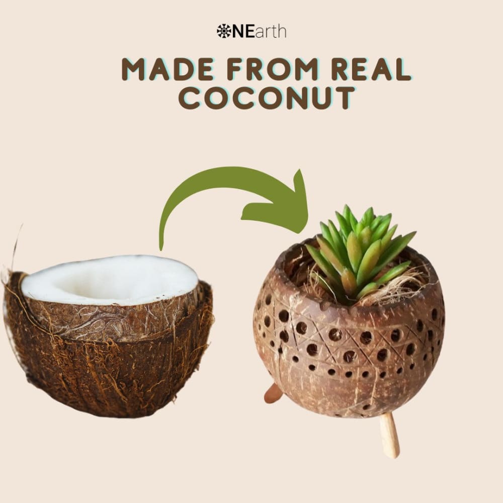 Coconut Shell Planter And Tea Light Candle Holder | Verified Sustainable by Brown Living™