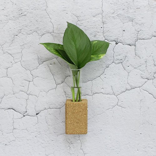 Cork Fridge Planter – Pots & Planters on Brown Living™. SKU: cork. Img 3.