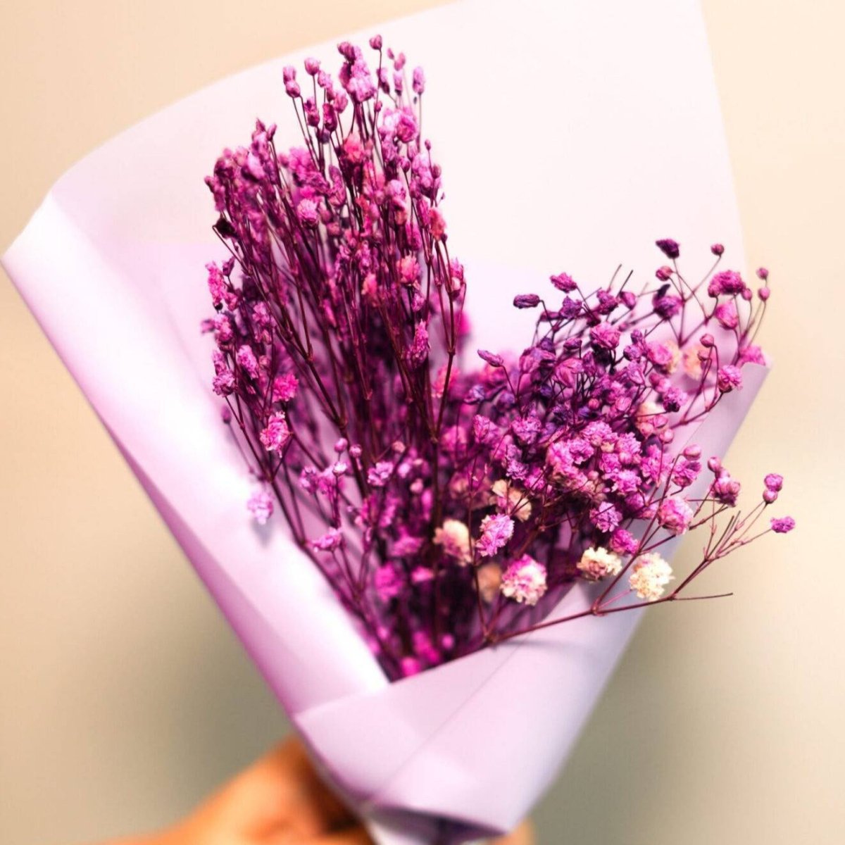 Dried Baby Breaths - Purple – Decor & Artefacts on Brown Living™. SKU: 3105256. Img 2.