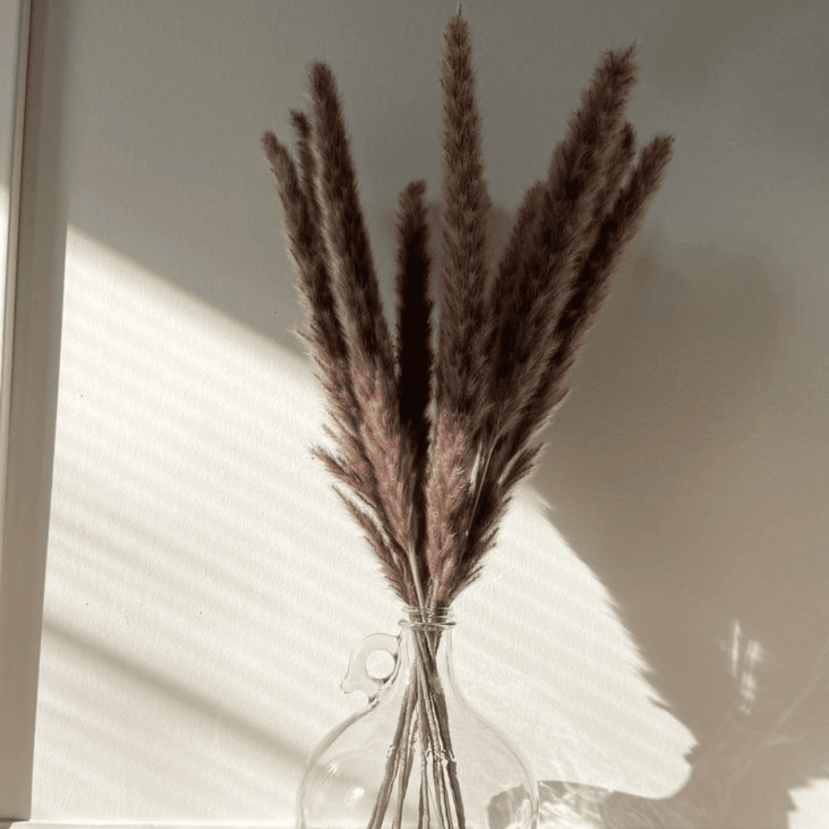 Dried Mini Brown Pampas – Decor & Artefacts on Brown Living™. SKU: 285. Img 4.