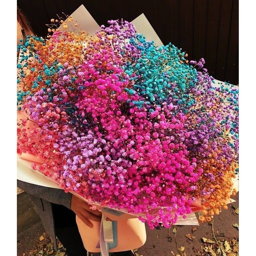 Dried Multiple Colour Baby Breaths – Decor & Artefacts on Brown Living™. SKU: 332. Img 2.