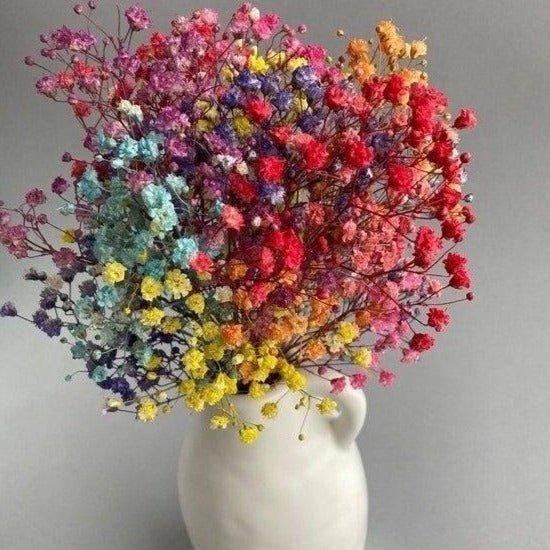 Dried Multiple Colour Baby Breaths – Decor & Artefacts on Brown Living™. SKU: 332. Img 1.