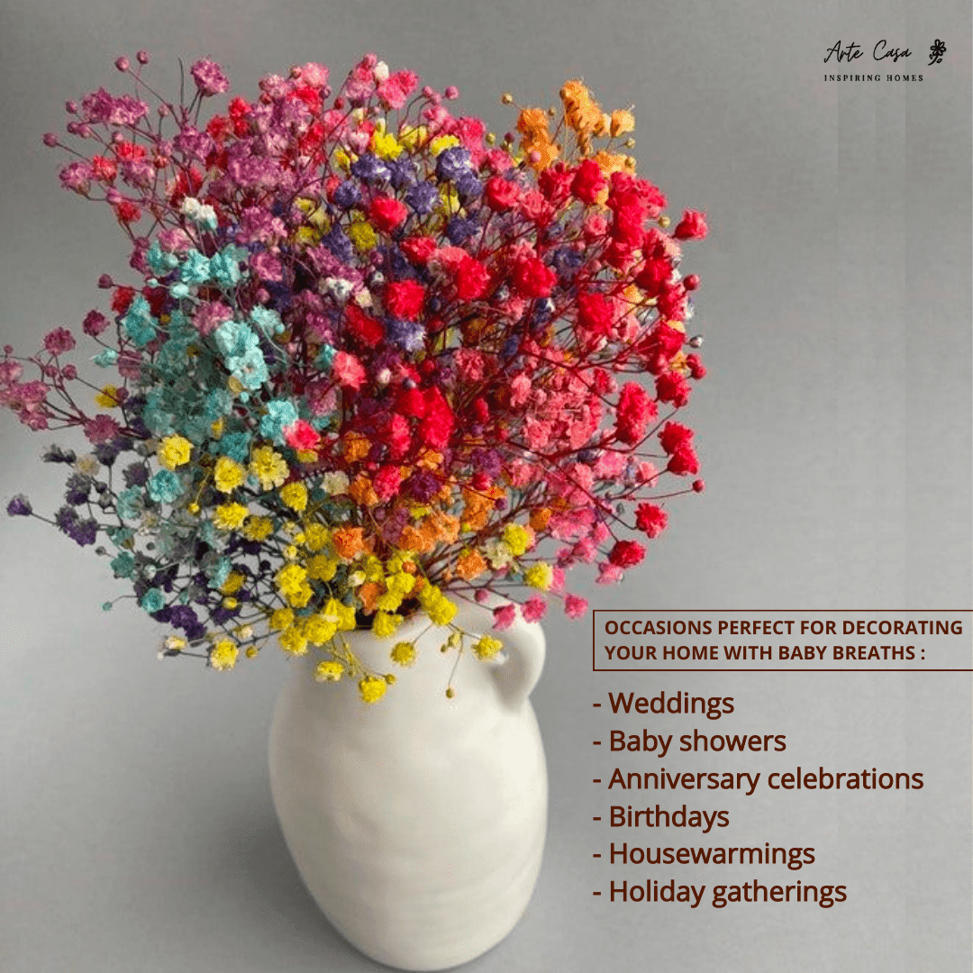 Dried Multiple Colour Baby Breaths – Decor & Artefacts on Brown Living™. SKU: 332. Img 3.