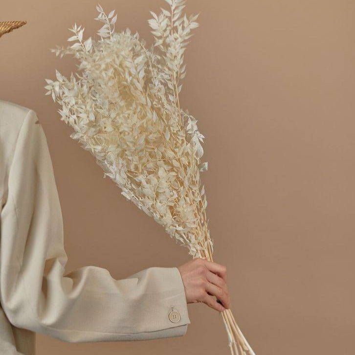 Dried Ruscus White – Decor & Artefacts on Brown Living™. SKU: 352. Img 2.