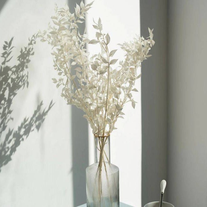 Dried Ruscus White – Decor & Artefacts on Brown Living™. SKU: 352. Img 1.