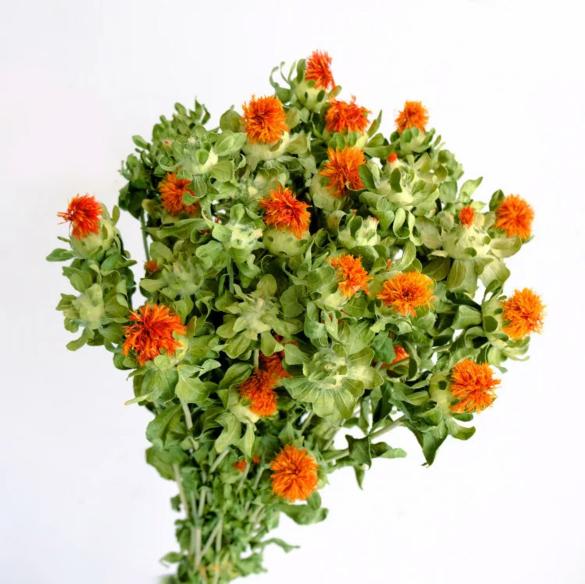 Dried Safflower - Rustic Natural Decor Bunch | Verified Sustainable by Brown Living™