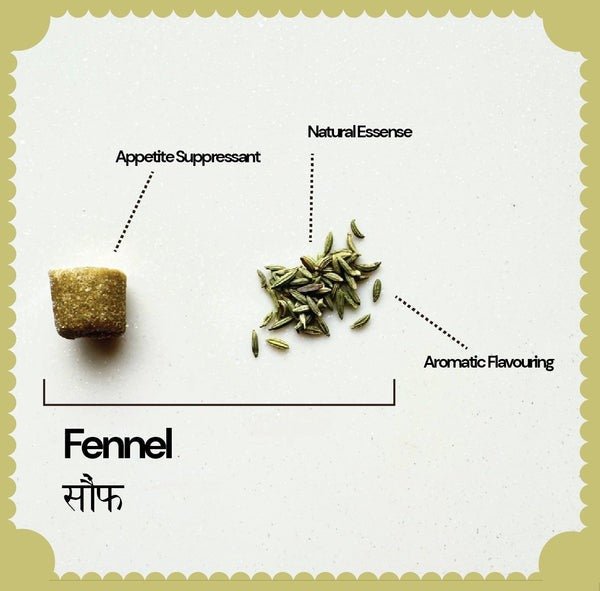 Fennel Chewing Gum (Pack of 2) | Verified Sustainable by Brown Living™