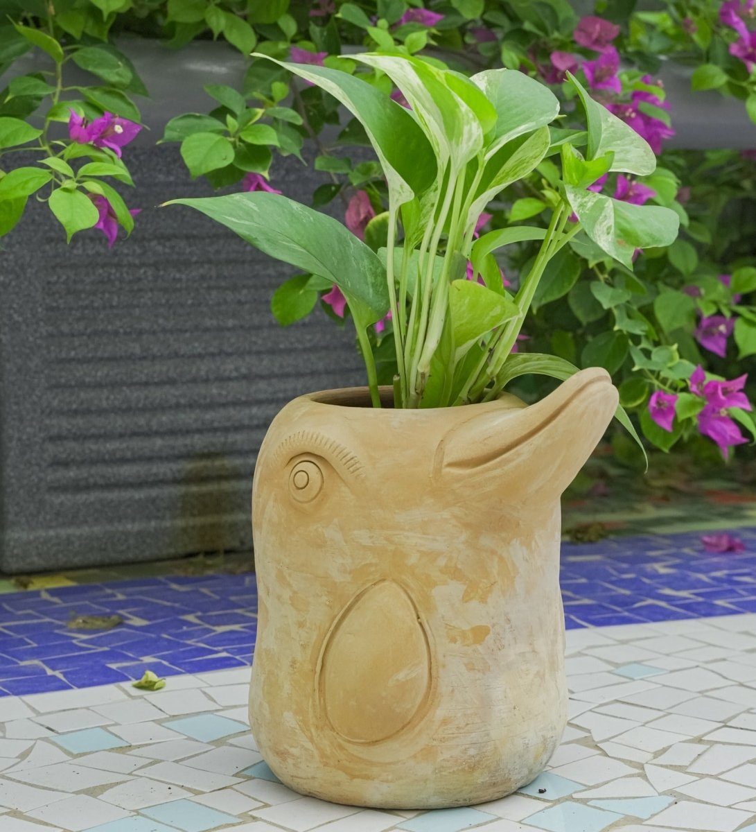 Flora - Fin Dolphin Earthen Planter – Pots & Planters by Swadeh available on Brown Living™. . SKU: 1.00E+09. Img 25.