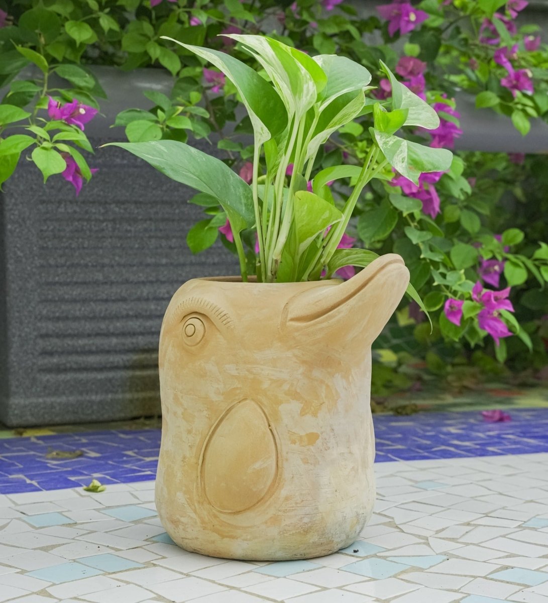 Flora - Fin Dolphin Earthen Planter – Pots & Planters by Swadeh available on Brown Living™. . SKU: 1.00E+09. Img 59.