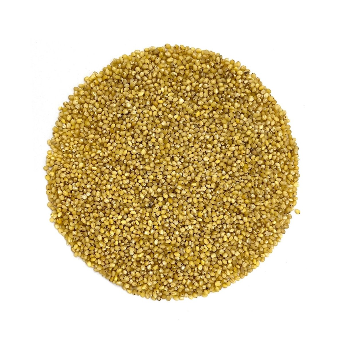 Foxtail Millet 800g - Organic, Gluten - Free, Natural Grain – Cereal & Meusli on Brown Living™. SKU: 2WG_FM - 8H. Img 1.