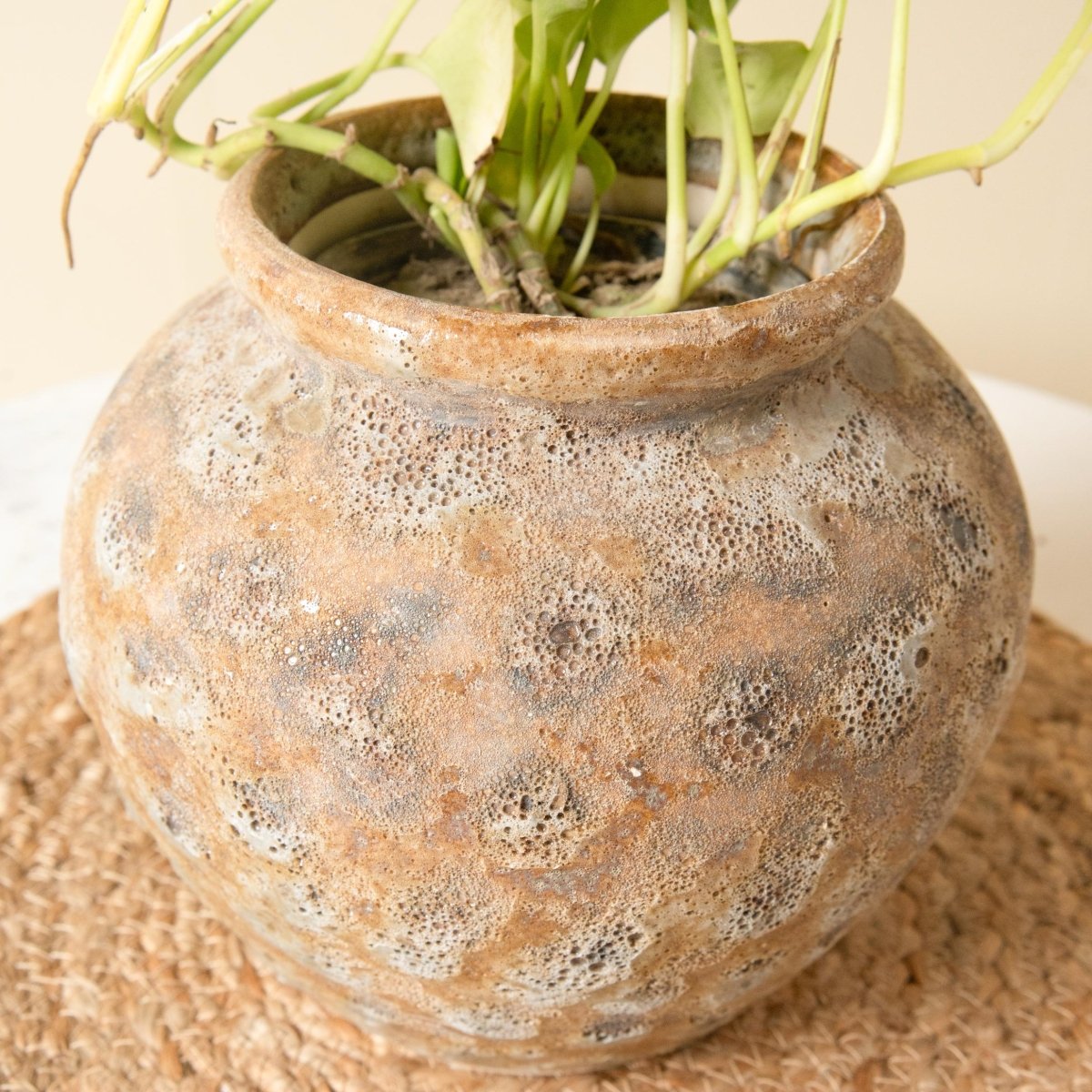 Grand Heritage Decorative Vase | Verified Sustainable by Brown Living™