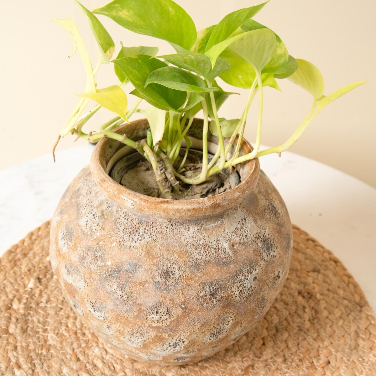 Grand Heritage Decorative Vase | Verified Sustainable by Brown Living™