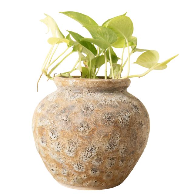 Grand Heritage Decorative Vase | Verified Sustainable by Brown Living™