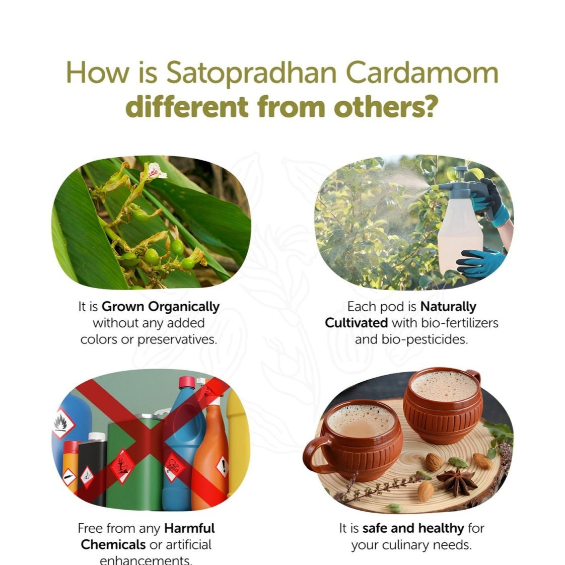 Green Cardamom 50g - Organic, Aromatic & Preservative - Free – Seasonings & Spices on Brown Living™. SKU: 2HS_CG - 5T. Img 4.