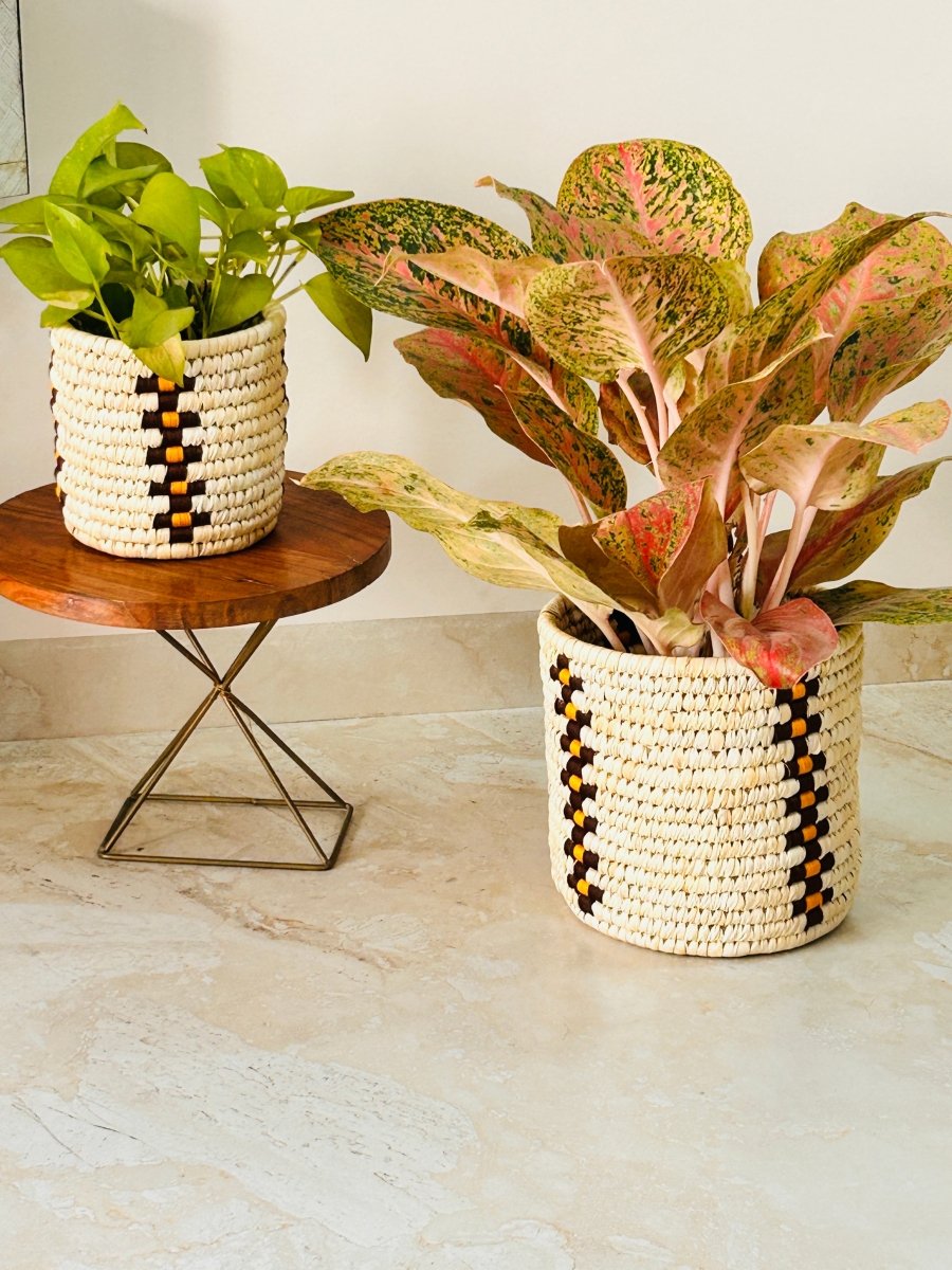 Handcrafted Rooted Weaves Plant Holder - (Pack of 2) – Pots & Planters by Swadeh available on Brown Living™. . SKU: 1000000295. Img 1.