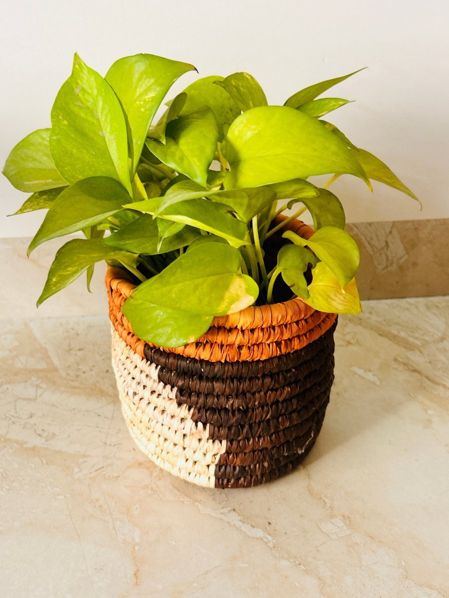 Husk Harmony Plant Holder– Set of 2 – Pots & Planters by Swadeh available on Brown Living™. . SKU: 1000000296. Img 2.