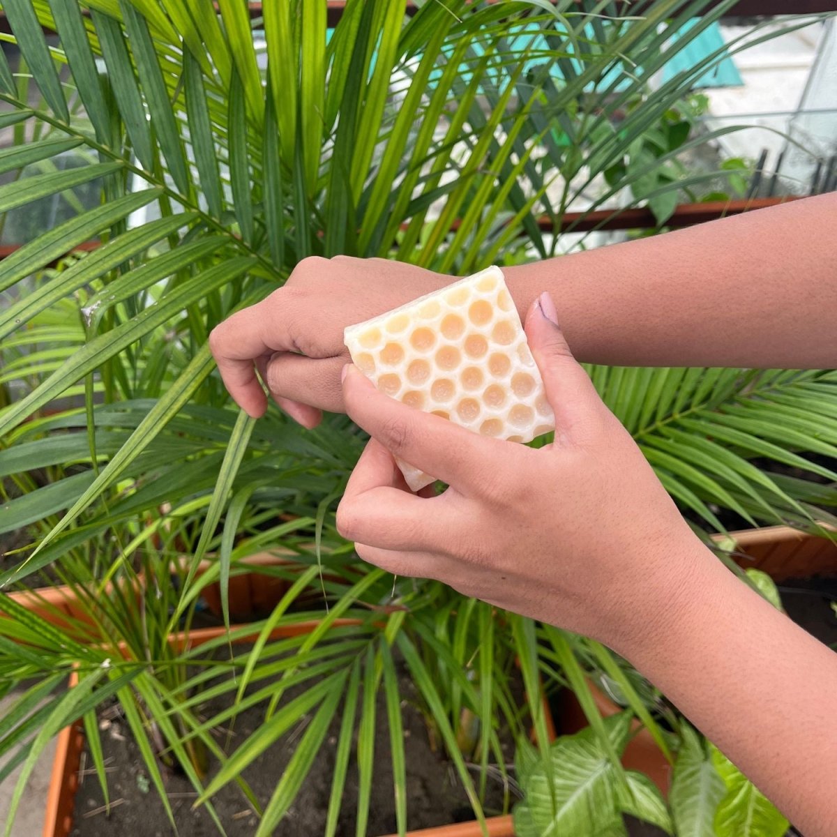 Jasmine Honeycomb Beeswax Soap – Body Soap on Brown Living™. SKU: FFSOBJ100G. Img 2.