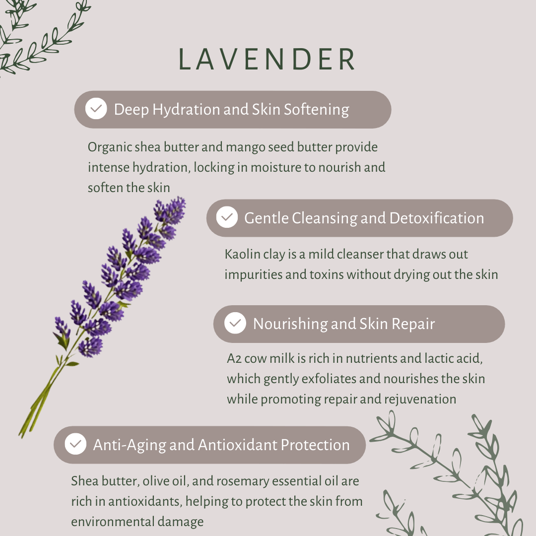 Lavender Bar Soap for Dry Skin with Honey, A2 Milk & Mango Butter – Body Soap on Brown Living™. SKU: S10003. Img 3.