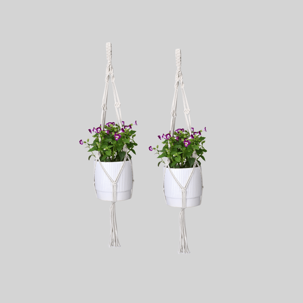 Macrame Cotton Plant Holder for Home & Garden Pack of 2 – Home Decor on Brown Living™. SKU: MA/ME/P2. Img 1.