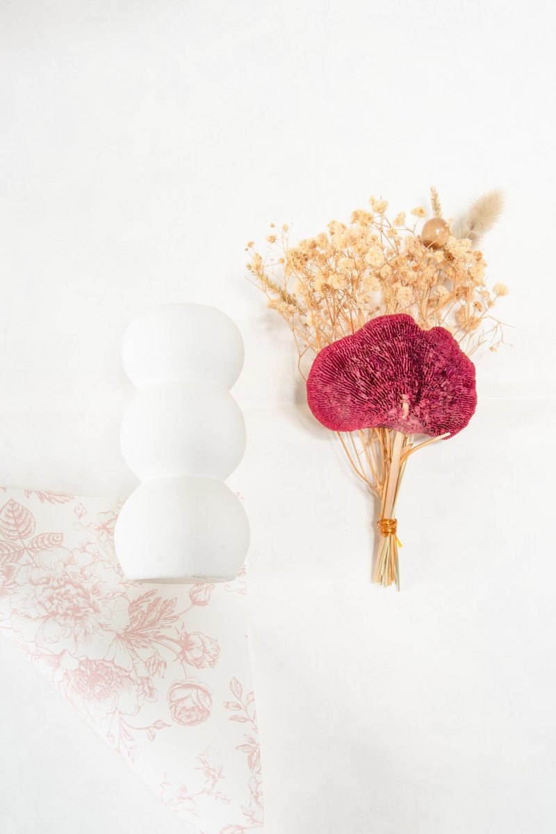 Mini Garden Decor Combo for Indoor Spaces | Verified Sustainable by Brown Living™