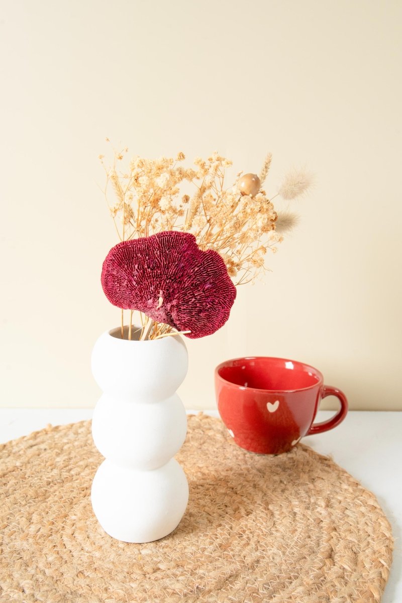 Mini Garden Decor Combo for Indoor Spaces | Verified Sustainable by Brown Living™