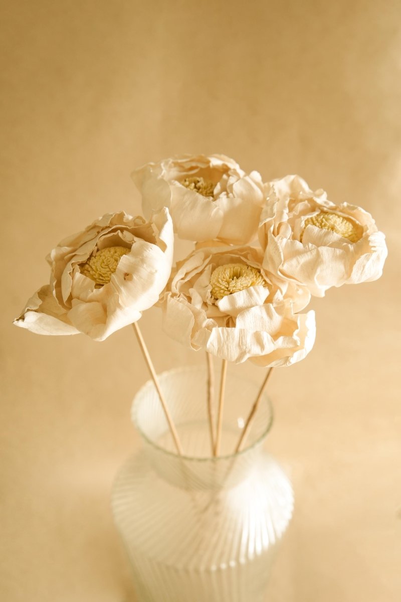 Naturally Dried Cabbage Flower - Set of 5 – Decor & Artefacts on Brown Living™. SKU: DF - 104. Img 2.