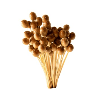 Naturally Dried Oak Tree Seeds – Decor & Artefacts on Brown Living™. SKU: DF - 103. Img 4.