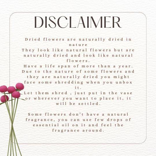 Naturally Dried Timeless Petal Bunch – Decor & Artefacts on Brown Living™. SKU: 21. Img 4.