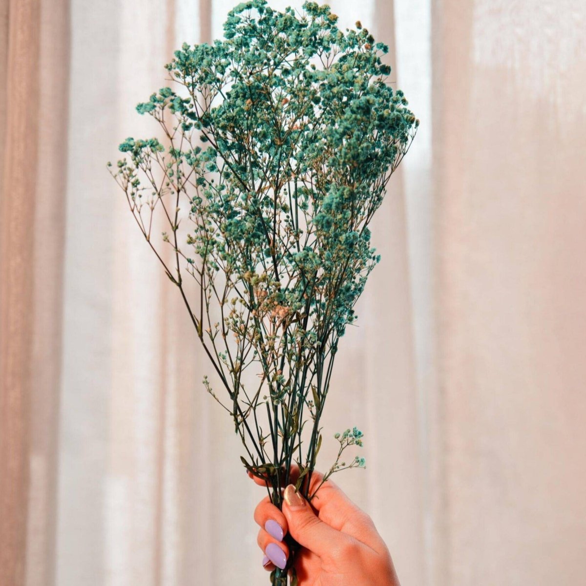 Naturally Dried Turquoise Blue Baby Breaths – Decor & Artefacts on Brown Living™. SKU: 412. Img 1.