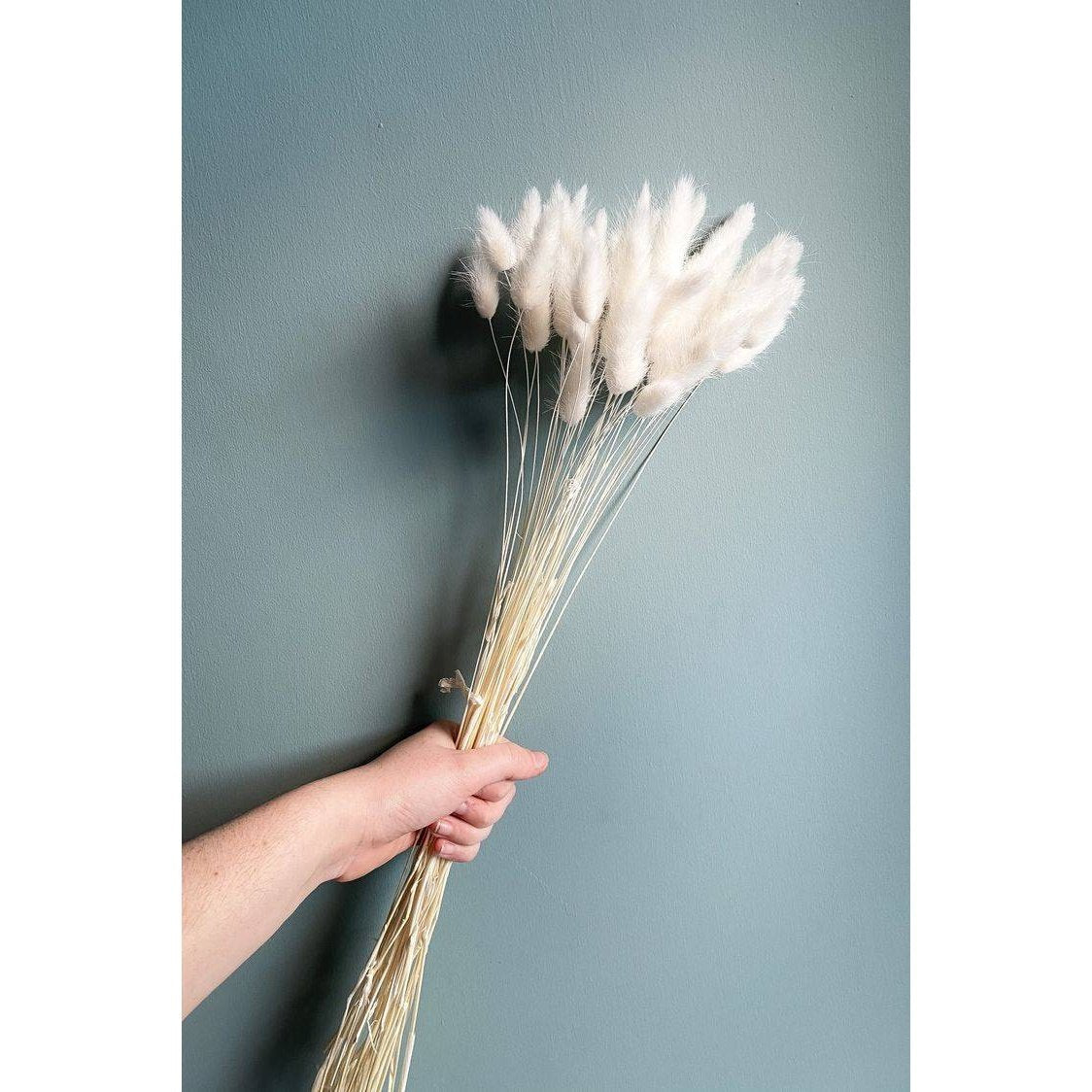 Naturally Dried White Bunny Tails - Set of 40 Stems – Decor & Artefacts on Brown Living™. SKU: 166. Img 2.