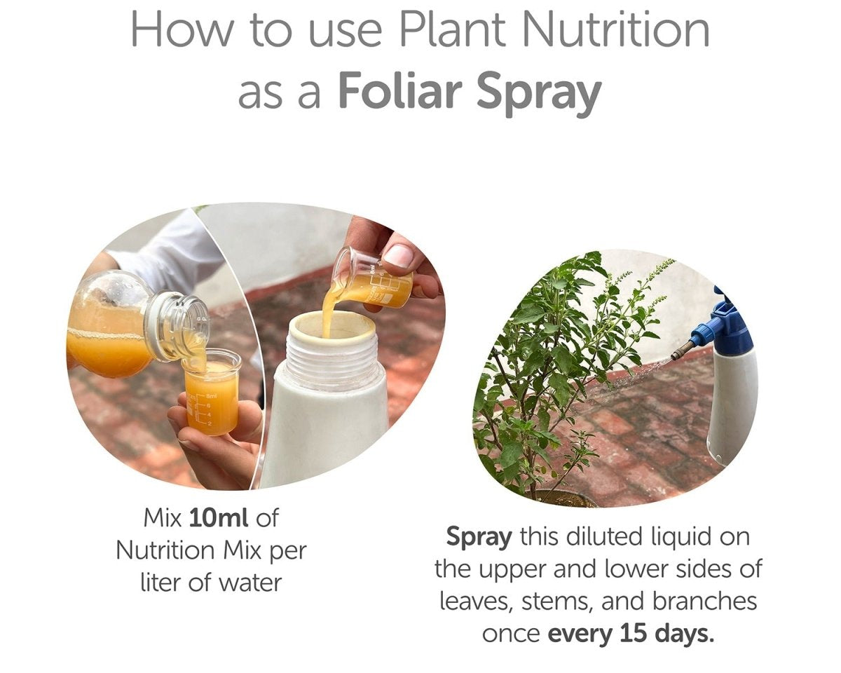 Plant Nutrition Liquid 750ml - Multi - Nutrient Bio - Enzyme – Garden Accessories on Brown Living™. SKU: 4KG_PNLBE - 75T. Img 4.