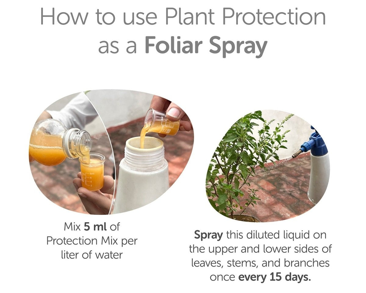 Plant Protection Liquid 750ml - Neem Bio - Enzyme – Garden Accessories on Brown Living™. SKU: 4KG_PPLBE - 75T. Img 3.
