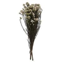 Rice Flower White - Elegant Dried Flower Bunch – Home Decor on Brown Living™. SKU: DF - 280. Img 3.