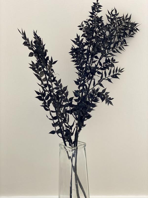 Ruscus Black - Unique Dried Floral Decor – Home Decor on Brown Living™. SKU: DF - 284. Img 8.