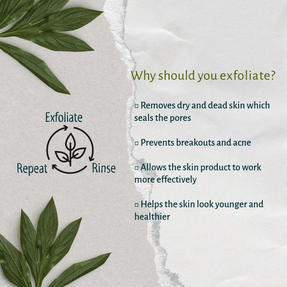 Walnut Face Scrub - 50g – Face Scrub on Brown Living™. SKU: WN - SCR. Img 3.