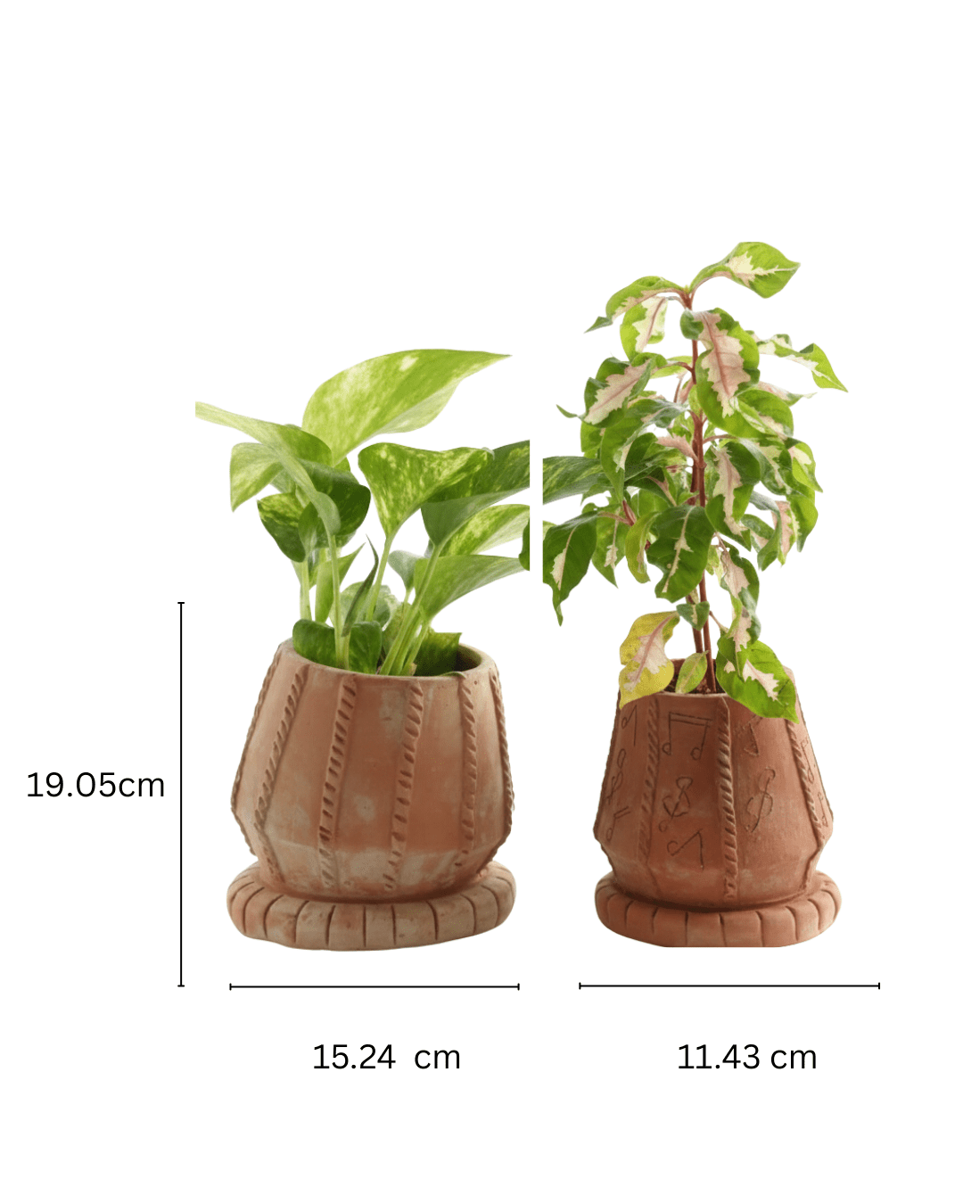 Tabla Taal Raag Handcrafted Musical Clay Planter – Pots & Planters on Brown Living™. SKU: A0_plt_0025. Img 8.