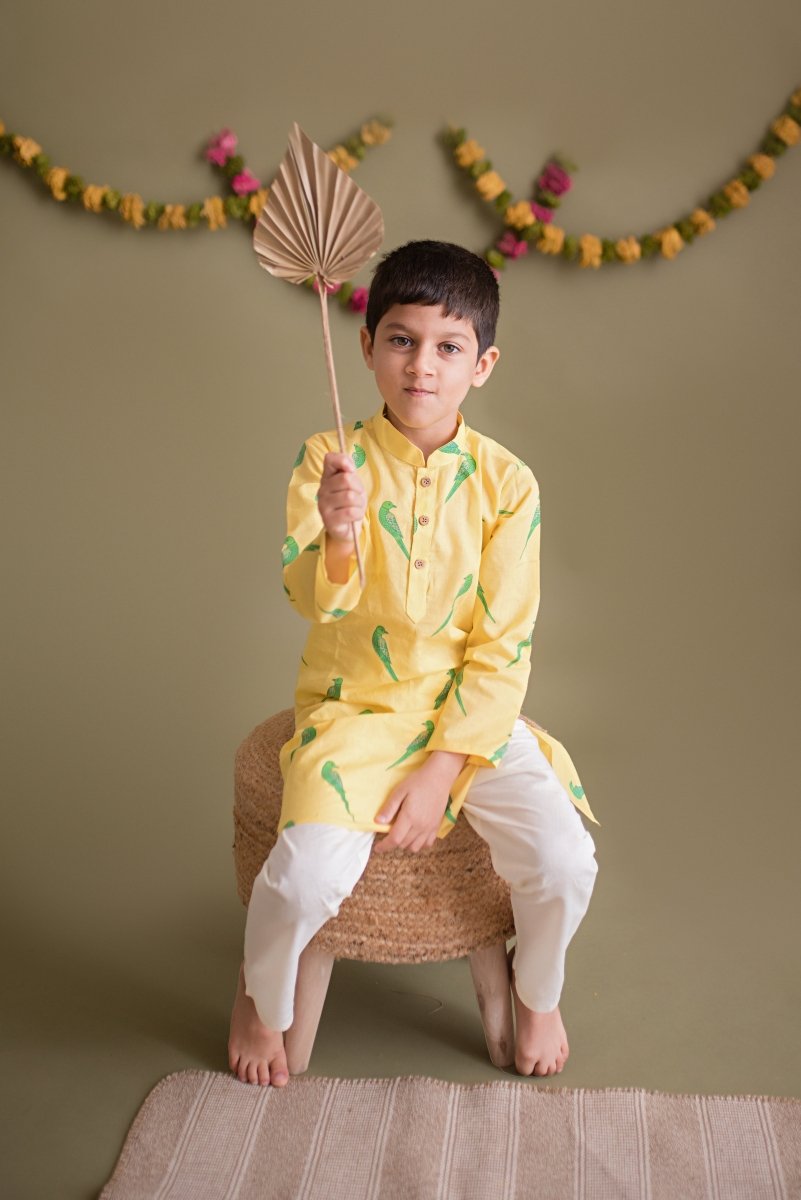 Tiya Parrot - Boys Ethnic Wear – Kids Ethnic Sets on Brown Living™. SKU: MITHEW - 042B - 1. Img 3.