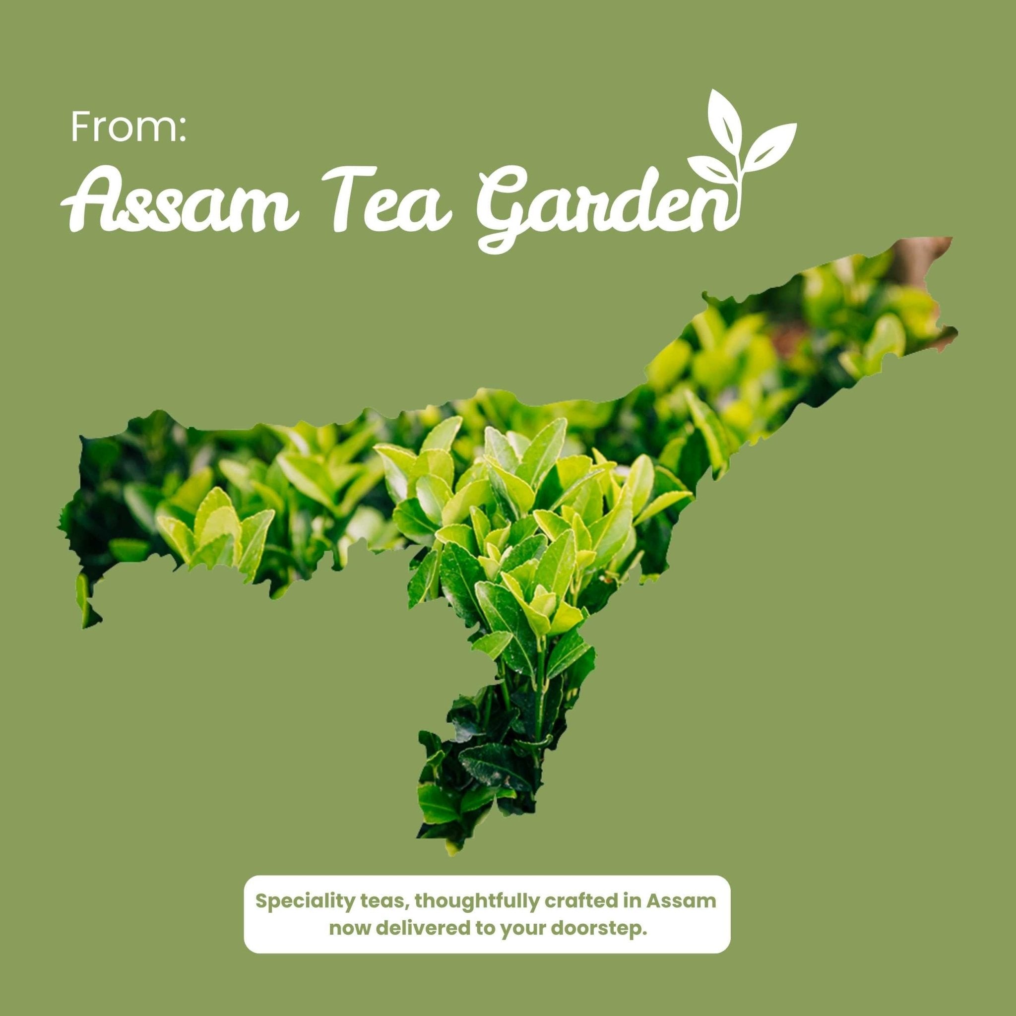 Tulsi Troika – Treats Respiratory Issues, Digestion & Stress – 50g – Tea on Brown Living™. SKU: CCTin50New. Img 8.