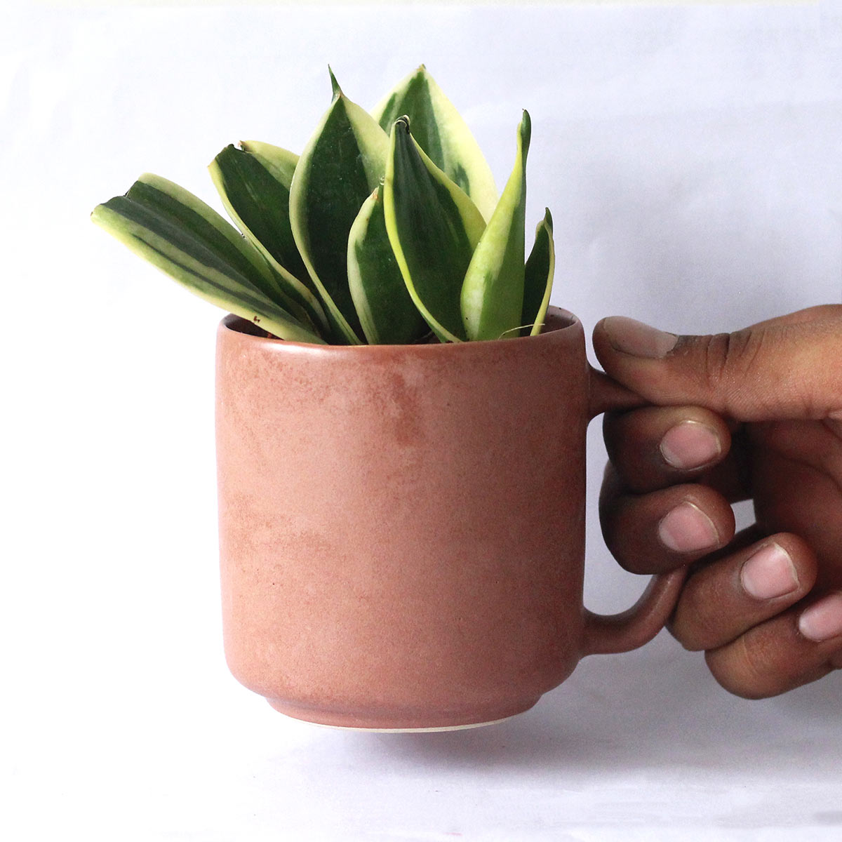 Vasu Recycled Ceramic Desk Planter with holder – Pots & Planters on Brown Living™. SKU: ET - CT - DP - VU. Img 1.