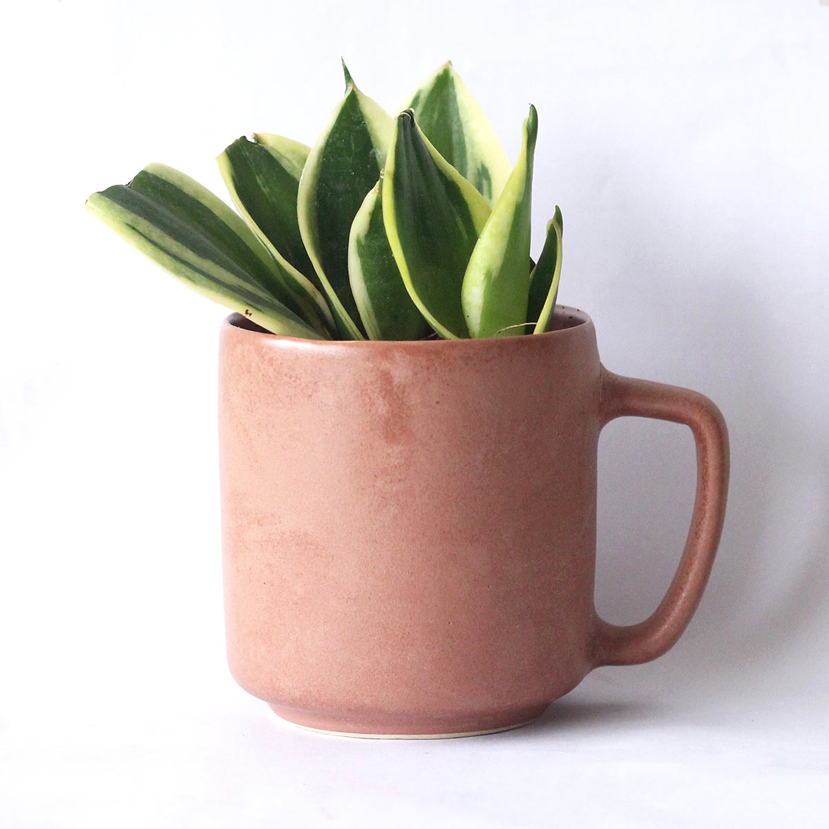 Vasu Recycled Ceramic Desk Planter with holder – Pots & Planters on Brown Living™. SKU: ET - CT - DP - VU. Img 2.