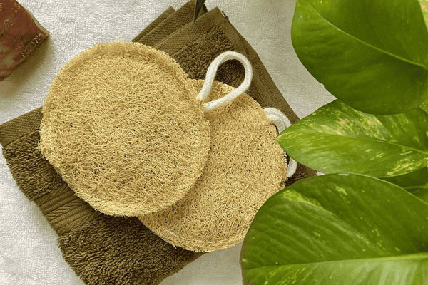 Buy 100% Natural And Plastic-Free Loofah - Pack Of 3 | Shop Verified Sustainable Bath Accessories on Brown Living™