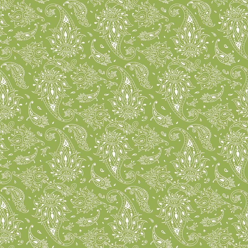 100% Pure Cotton Wild Paisley Quilt | Verified Sustainable by Brown Living™