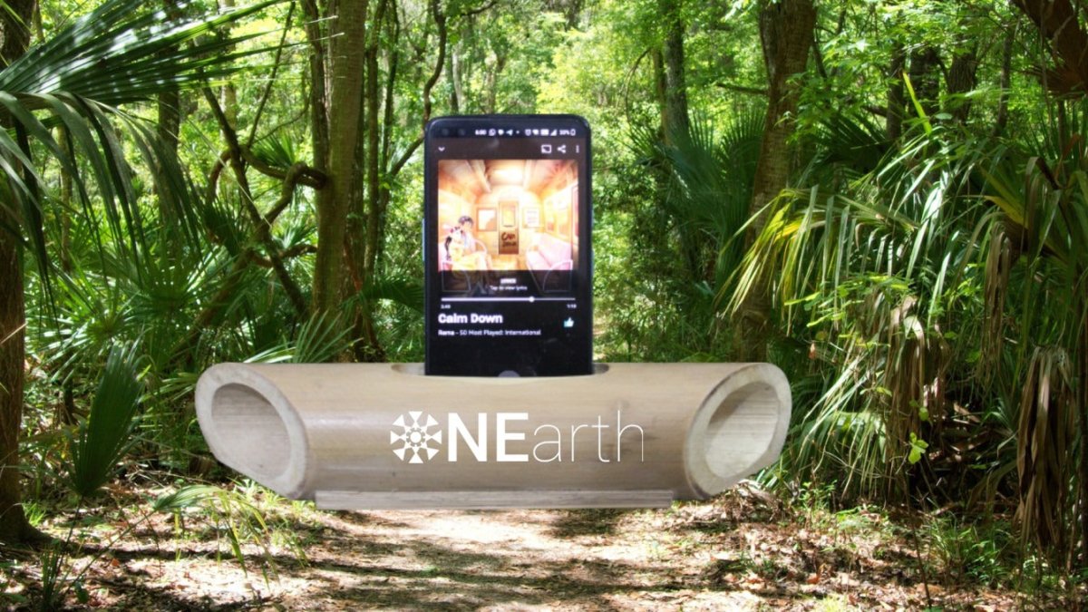 Bamboo Sound Amplifier (With Cotton Pouch) | Verified Sustainable by Brown Living™