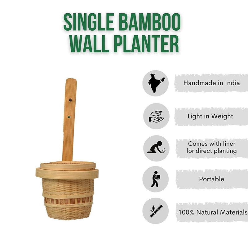 Buy Bamboo Wall Planter | Shop Verified Sustainable Pots & Planters on Brown Living™
