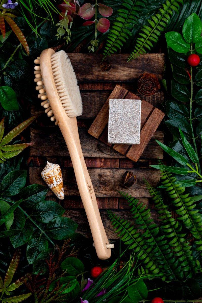 Buy Bath Brush 2 In 1 with Free Loofah, Body Brush with Handle Online on  Brown Living
