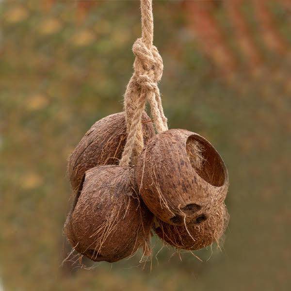 Bird Feeder | Coconut Shell Bird House with Hanging Rope – Bird Feeder on Brown Living™. SKU: TBB - 26. Img 4.