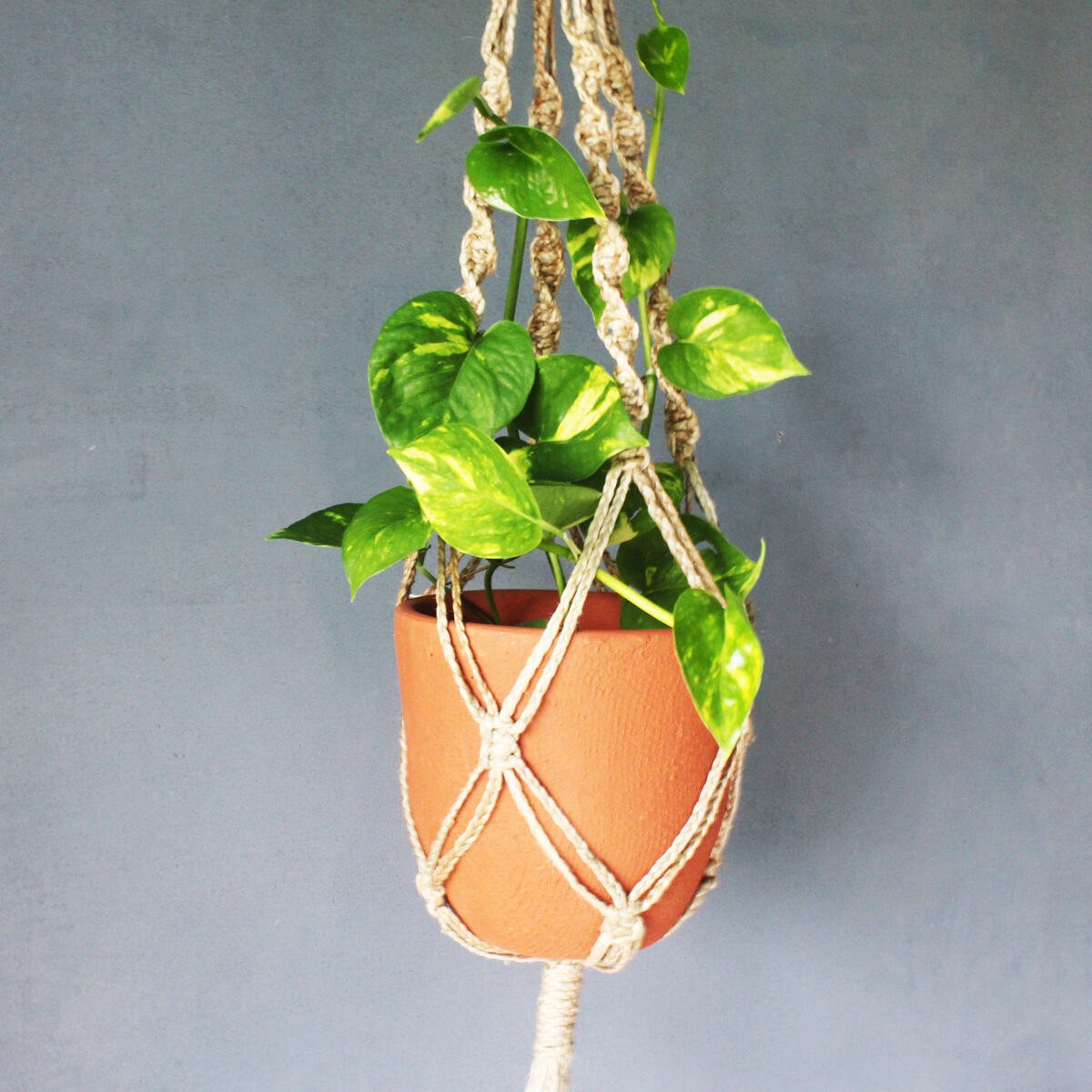 Classic Terracotta Planter with Jute Macrame Hanger Design 2 | Verified Sustainable by Brown Living™